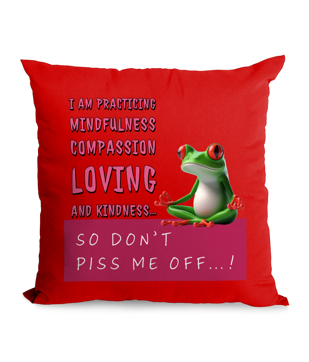 “I AM PRACTICING MINDFULNESS…”- CANVAS CUSHION - Cheeky Wonders