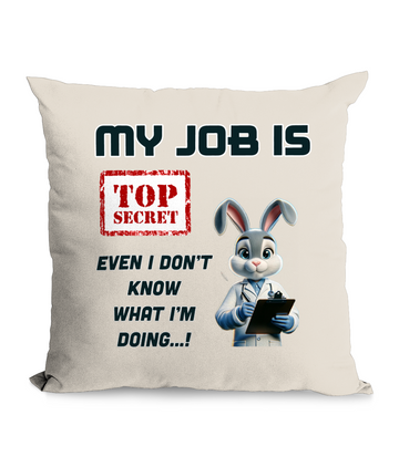 MY JOB IS TOP SECRET…- CUSHION WITH POCKET - Cheeky Wonders