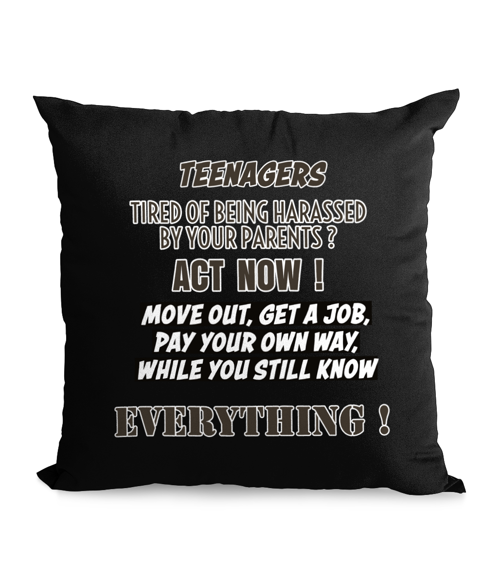 TEENAGERS.. TIRED OF BEING HARASSED ...?- CANVAS CUSHION - Cheeky Wonders