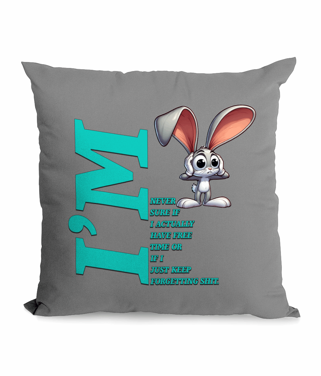 "I'M NEVER SURE IF I ACTUALLY HAVE FREE TIME OR I JUST..." - CANVAS CUSHION