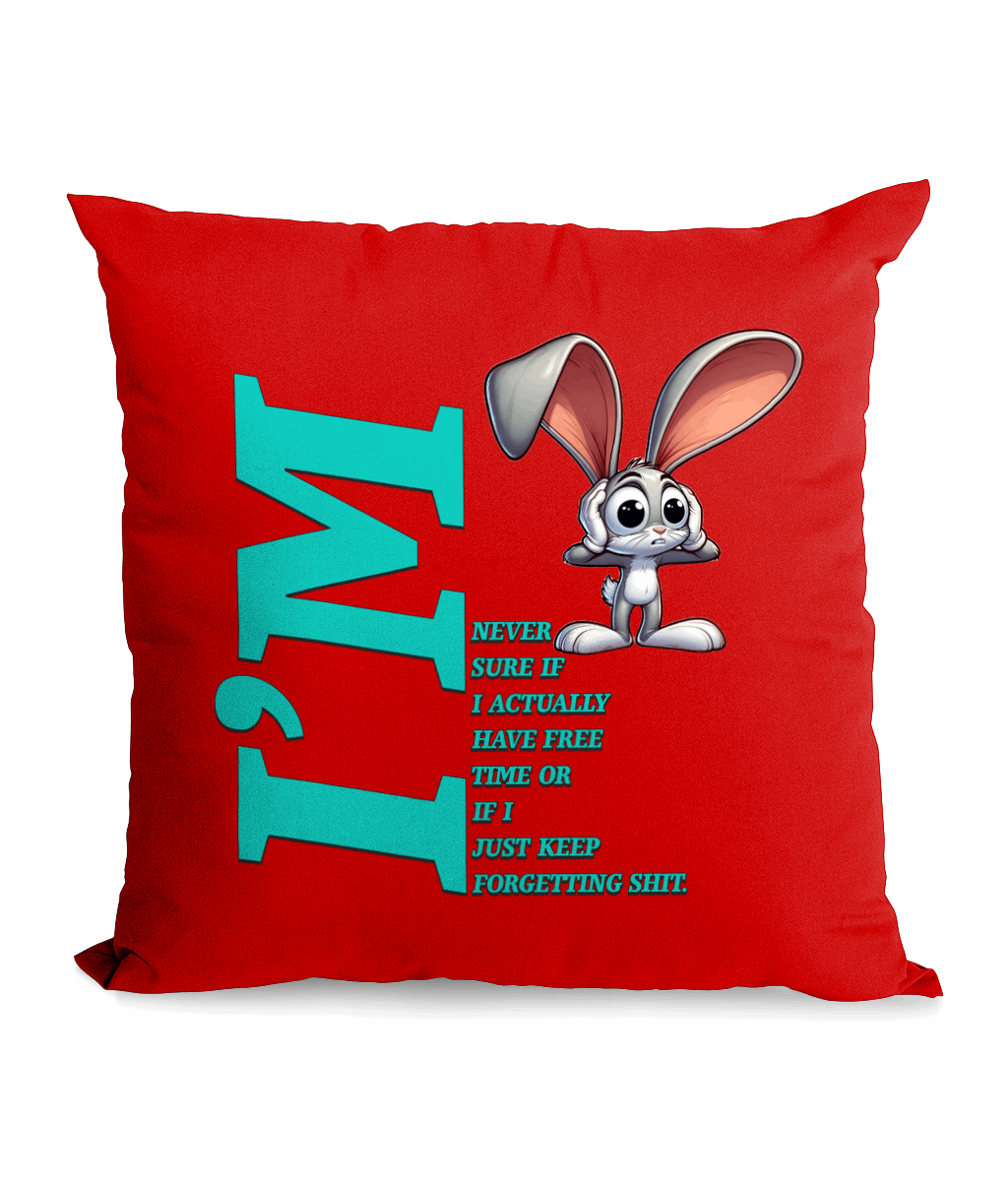 "I'M NEVER SURE IF I ACTUALLY HAVE FREE TIME OR I JUST..." - CANVAS CUSHION