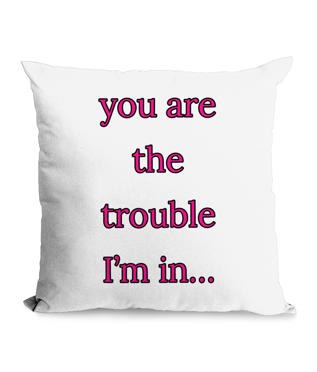 YOU ARE THE TROUBLE…- CANVAS CUSHION - Cheeky Wonders