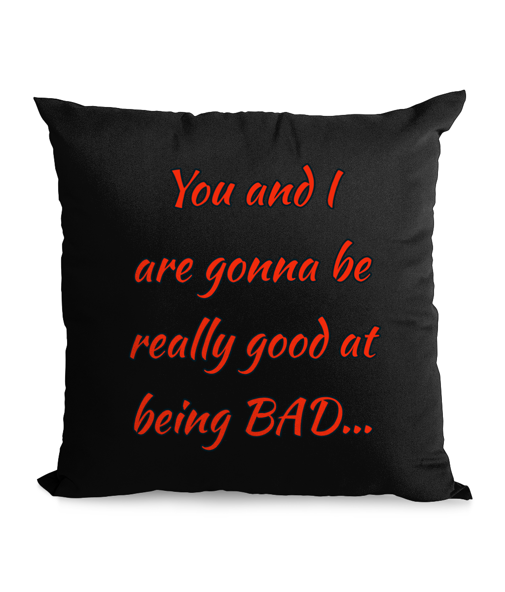 YOU AND I ARE GONNA BE…- CANVAS CUSHION - Cheeky Wonders